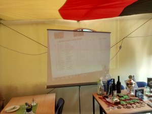 IMG_20150704_152919594_HDR